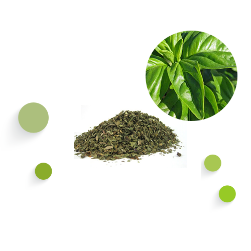 BASIL SEEDS Shelf life & storage conditions